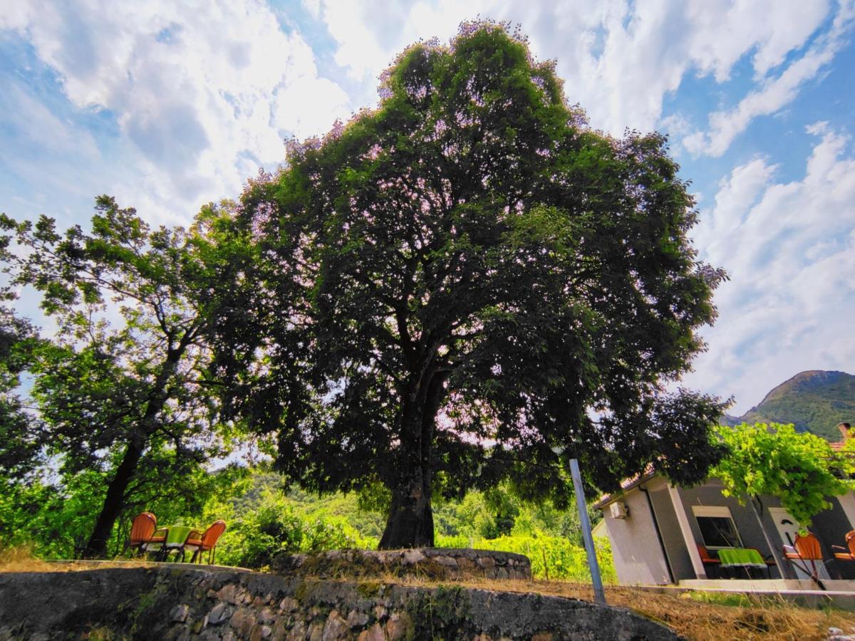 Celtis Shade House Villa Вирпазар Екстериор снимка